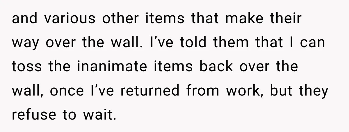 and various other items that make their way over the wall. I’ve told them that I can toss the inanimate items back over the wall, once I’ve returned from work,...