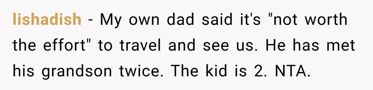 lishadish − My own dad said it's "not worth the effort" to travel and see us. He has met his grandson twice. The kid is 2. NTA.