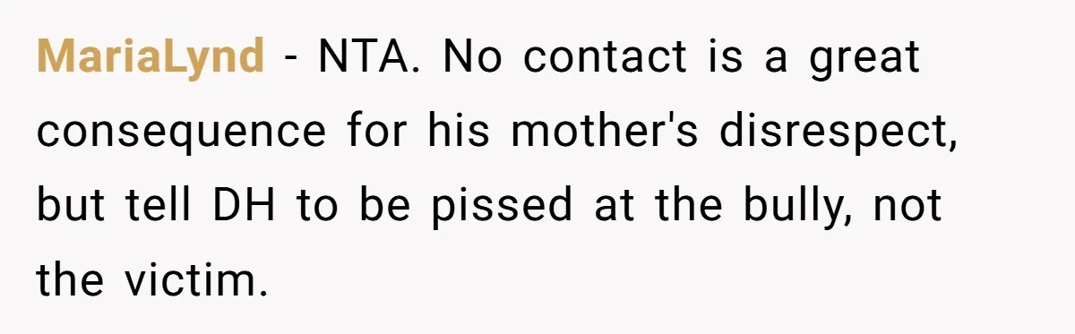 MariaLynd − NTA. No contact is a great consequence for his mother's disrespect, but tell DH to be pissed at the bully, not the victim.