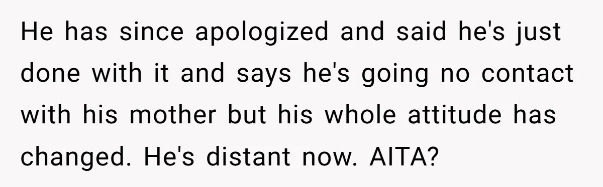 He has since apologized and said he's just done with it and says he's going no contact with his mother but his whole attitude has changed. He's distant now. AITA?