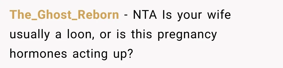 The_Ghost_Reborn − NTA Is your wife usually a loon, or is this pregnancy hormones acting up?