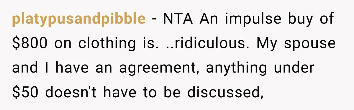 platypusandpibble − NTA An impulse buy of $800 on clothing is. ..ridiculous. My spouse and I have an agreement, anything under $50 doesn't have to be discussed,