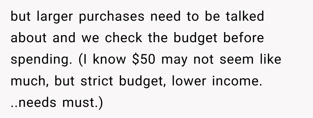 but larger purchases need to be talked about and we check the budget before spending. (I know $50 may not seem like much, but strict budget, lower income. ..needs must.)