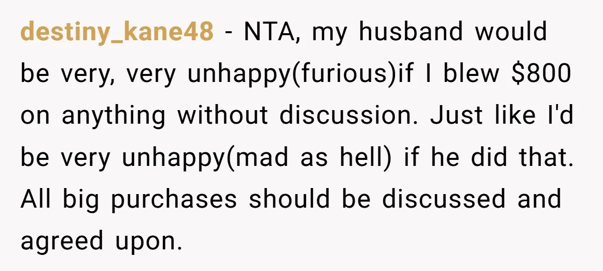destiny_kane48 − NTA, my husband would be very, very unhappy(furious)if I blew $800 on anything without discussion. Just like I'd be very unhappy(mad as hell) if he did that. All...