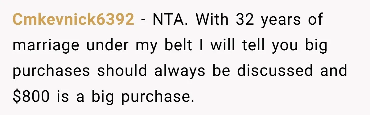 Cmkevnick6392 − NTA. With 32 years of marriage under my belt I will tell you big purchases should always be discussed and $800 is a big purchase.