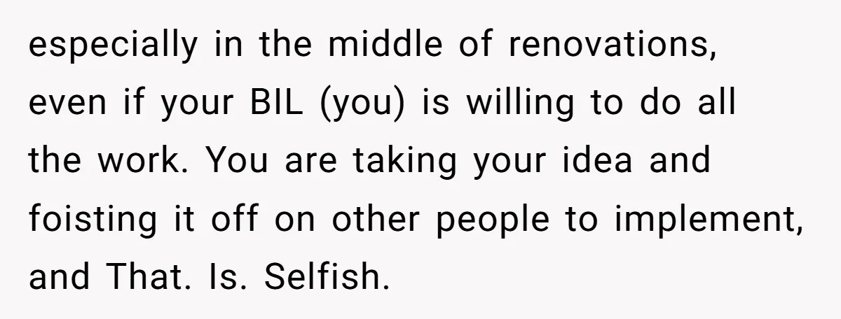 especially in the middle of renovations, even if your BIL (you) is willing to do all the work. You are taking your idea and foisting it off on other people...