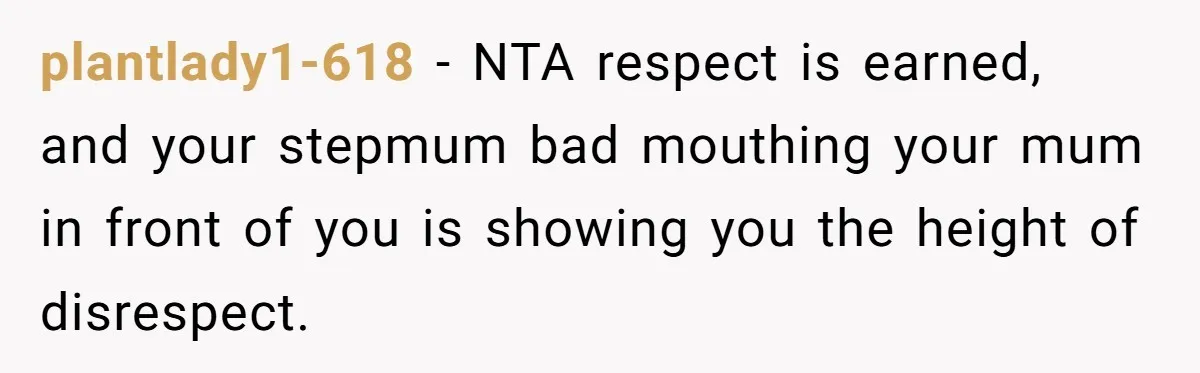 plantlady1-618 − NTA respect is earned, and your stepmum bad mouthing your mum in front of you is showing you the height of disrespect.