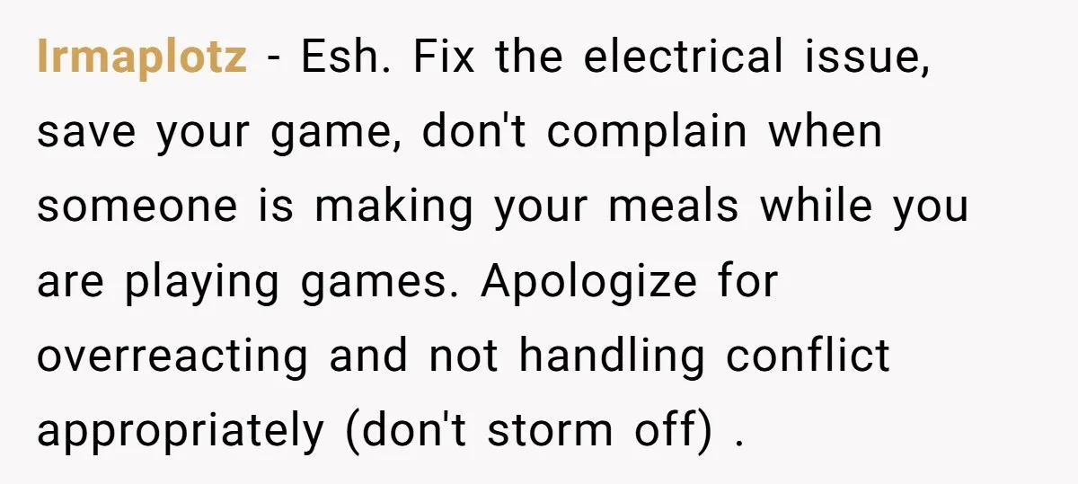Irmaplotz − Esh. Fix the electrical issue, save your game, don't complain when someone is making your meals while you are playing games. Apologize for overreacting and not handling conflict...