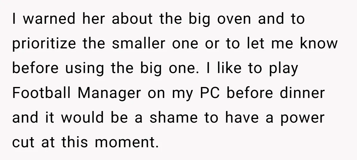 I warned her about the big oven and to prioritize the smaller one or to let me know before using the big one. I like to play Football Manager on...