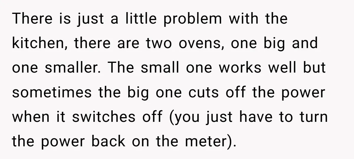 There is just a little problem with the kitchen, there are two ovens, one big and one smaller. The small one works well but sometimes the big one cuts off...