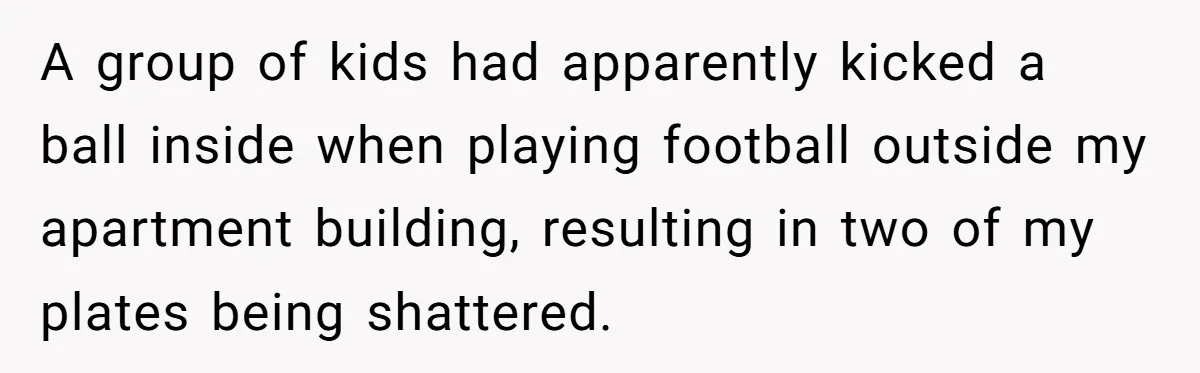 A group of kids had apparently kicked a ball inside when playing football outside my apartment building, resulting in two of my plates being shattered.