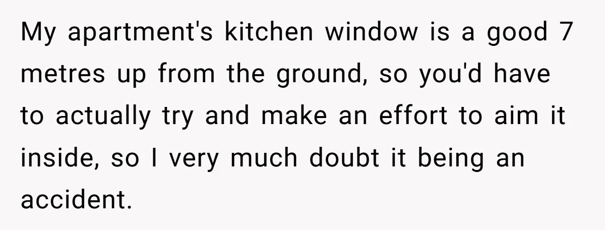 My apartment's kitchen window is a good 7 metres up from the ground, so you'd have to actually try and make an effort to aim it inside, so I very...