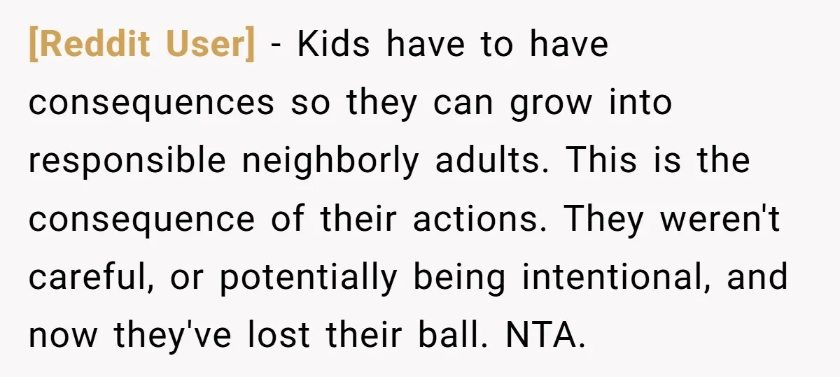 [Reddit User] − Kids have to have consequences so they can grow into responsible neighborly adults. This is the consequence of their actions. They weren't careful, or potentially being intentional,...