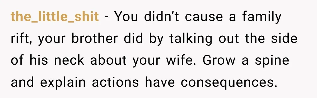 the_little_shit − You didn’t cause a family rift, your brother did by talking out the side of his neck about your wife. Grow a spine and explain actions have consequences.