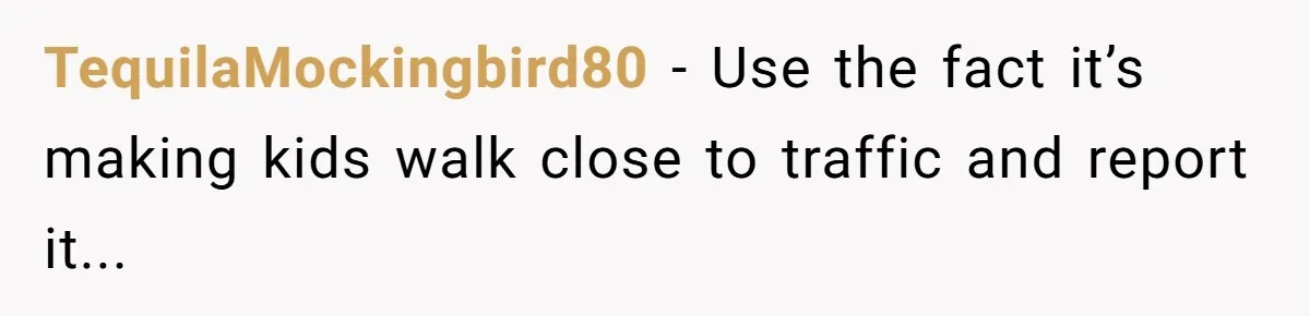 TequilaMockingbird80 − Use the fact it’s making kids walk close to traffic and report it...
