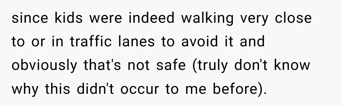 since kids were indeed walking very close to or in traffic lanes to avoid it and obviously that's not safe (truly don't know why this didn't occur to me before).