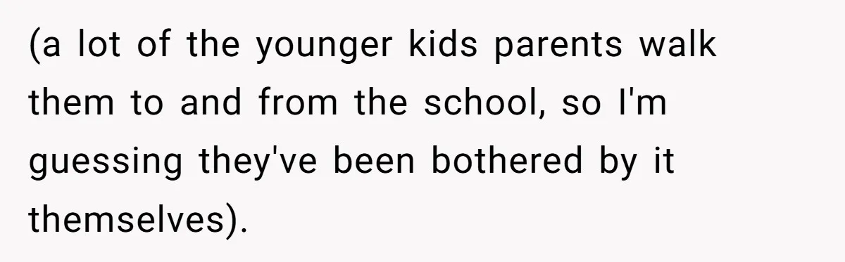 (a lot of the younger kids parents walk them to and from the school, so I'm guessing they've been bothered by it themselves).