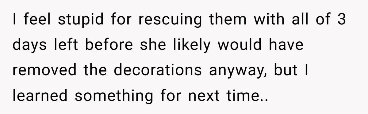 I feel stupid for rescuing them with all of 3 days left before she likely would have removed the decorations anyway, but I learned something for next time..