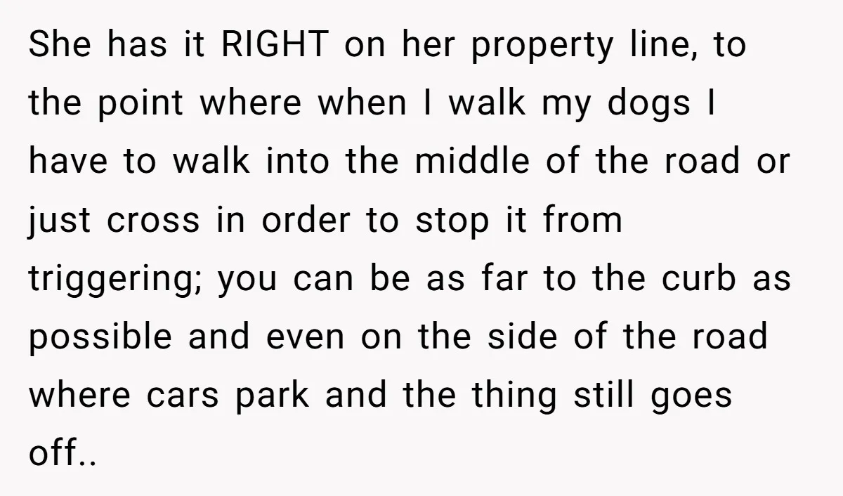 She has it RIGHT on her property line, to the point where when I walk my dogs I have to walk into the middle of the road or just cross...