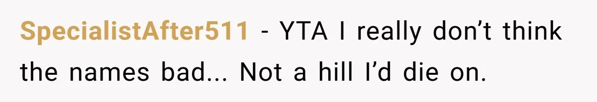 SpecialistAfter511 − YTA I really don’t think the names bad... Not a hill I’d die on.