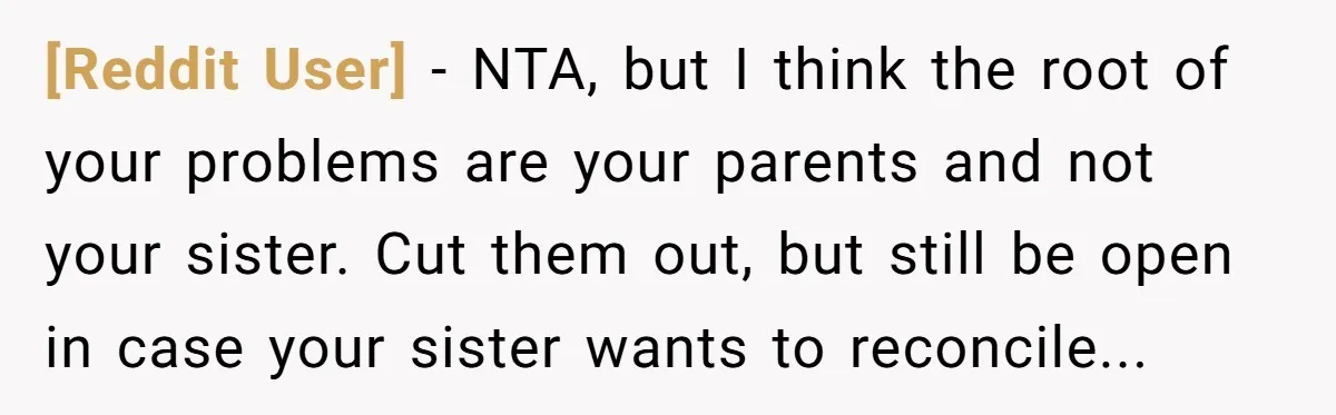 [Reddit User] − NTA, but I think the root of your problems are your parents and not your sister. Cut them out, but still be open in case your sister...