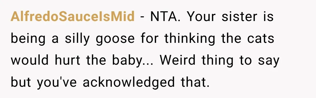 AlfredoSauceIsMid − NTA. Your sister is being a silly goose for thinking the cats would hurt the baby... Weird thing to say but you've acknowledged that.
