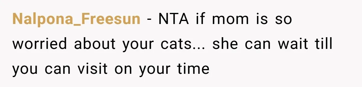 Nalpona_Freesun − NTA if mom is so worried about your cats... she can wait till you can visit on your time