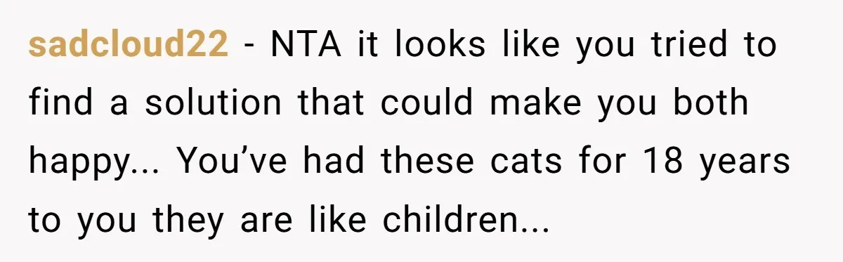 sadcloud22 − NTA it looks like you tried to find a solution that could make you both happy... You’ve had these cats for 18 years to you they are like...