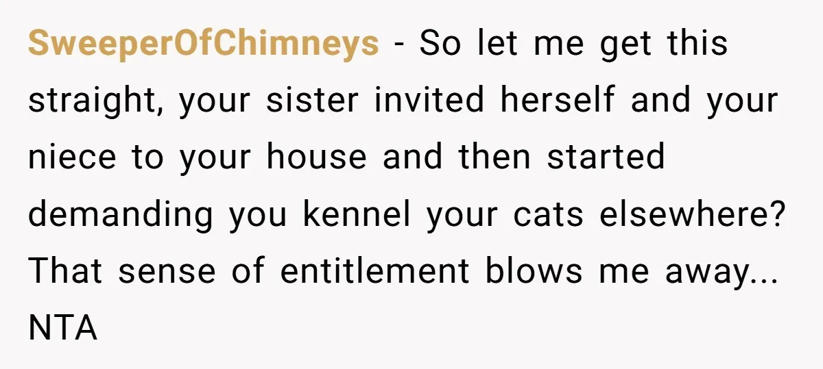 SweeperOfChimneys − So let me get this straight, your sister invited herself and your niece to your house and then started demanding you kennel your cats elsewhere? That sense of...