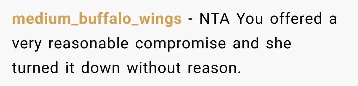 medium_buffalo_wings − NTA You offered a very reasonable compromise and she turned it down without reason.