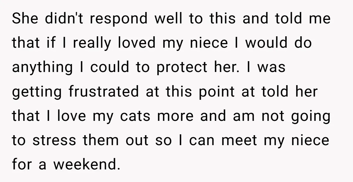 She didn't respond well to this and told me that if I really loved my niece I would do anything I could to protect her. I was getting frustrated at...