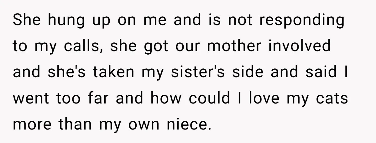 She hung up on me and is not responding to my calls, she got our mother involved and she's taken my sister's side and said I went too far and...