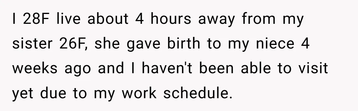 I 28F live about 4 hours away from my sister 26F, she gave birth to my niece 4 weeks ago and I haven't been able to visit yet due to...