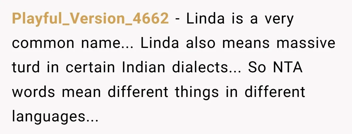 Playful_Version_4662 − Linda is a very common name... Linda also means massive turd in certain Indian dialects... So NTA words mean different things in different languages...