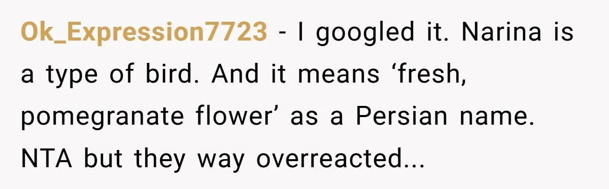 Ok_Expression7723 − I googled it. Narina is a type of bird. And it means ‘fresh, pomegranate flower’ as a Persian name. NTA but they way overreacted...