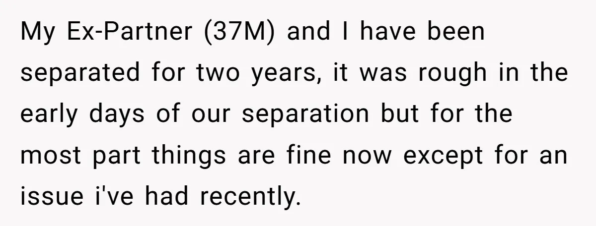 My Ex-Partner (37M) and I have been separated for two years, it was rough in the early days of our separation but for the most part things are fine now...