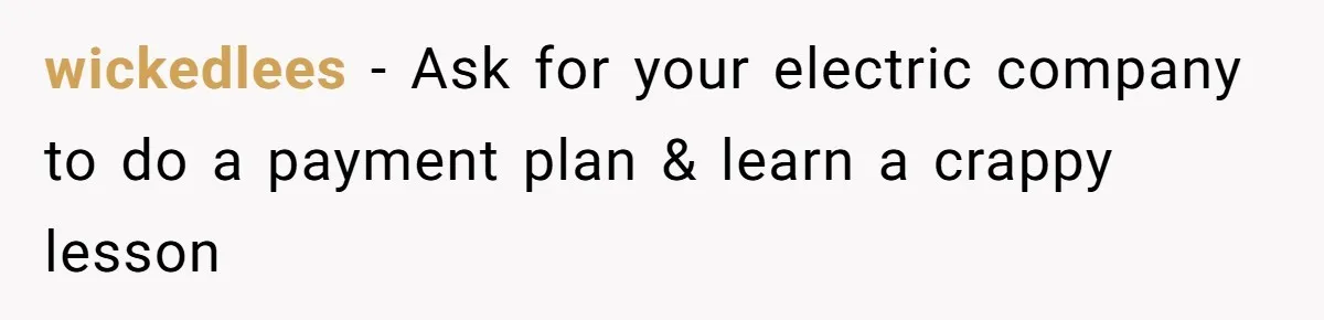 wickedlees − Ask for your electric company to do a payment plan & learn a crappy lesson