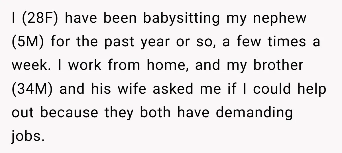 I (28F) have been babysitting my nephew (5M) for the past year or so, a few times a week. I work from home, and my brother (34M) and his wife...