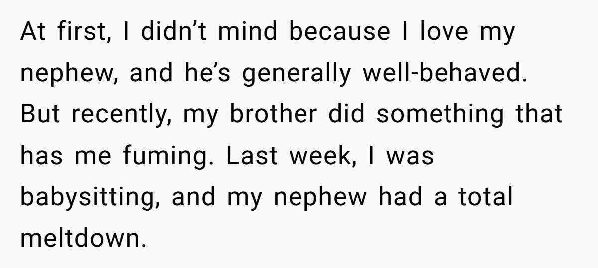 At first, I didn’t mind because I love my nephew, and he’s generally well-behaved. But recently, my brother did something that has me fuming. Last week, I was babysitting, and...