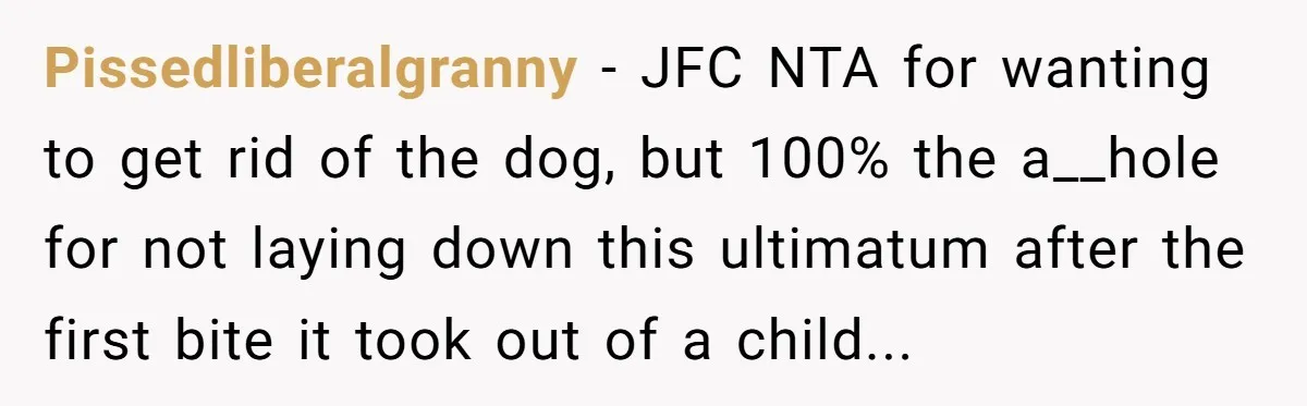Pissedliberalgranny − JFC NTA for wanting to get rid of the dog, but 100% the a__hole for not laying down this ultimatum after the first bite it took out of...