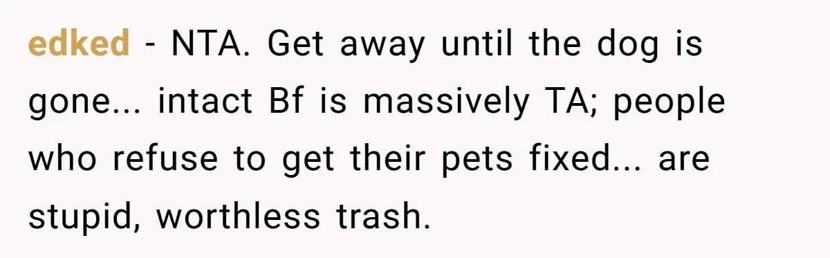 edked − NTA. Get away until the dog is gone... intact Bf is massively TA; people who refuse to get their pets fixed... are stupid, worthless trash.