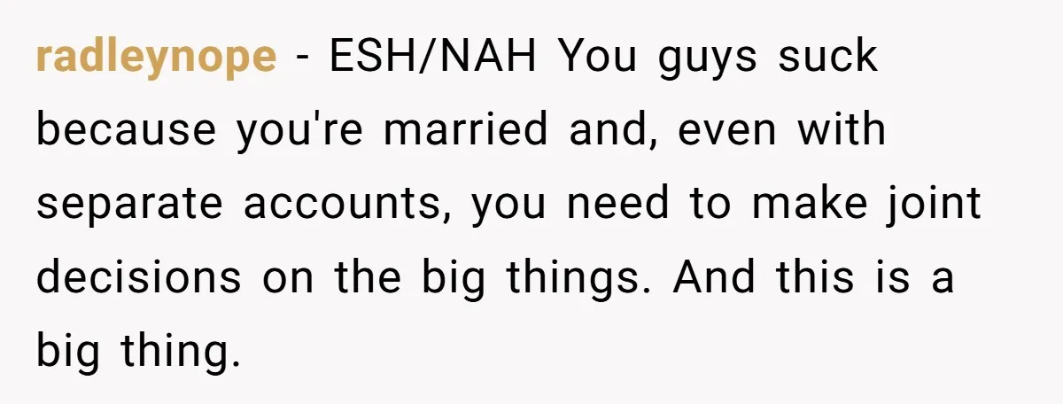 radleynope − ESH/NAH You guys suck because you're married and, even with separate accounts, you need to make joint decisions on the big things. And this is a big thing.