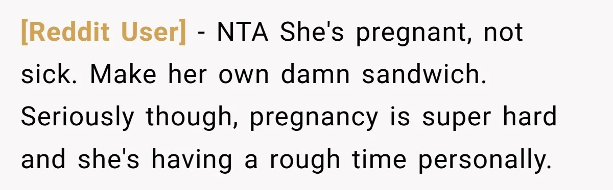 [Reddit User] − NTA She's pregnant, not sick. Make her own damn sandwich. Seriously though, pregnancy is super hard and she's having a rough time personally.