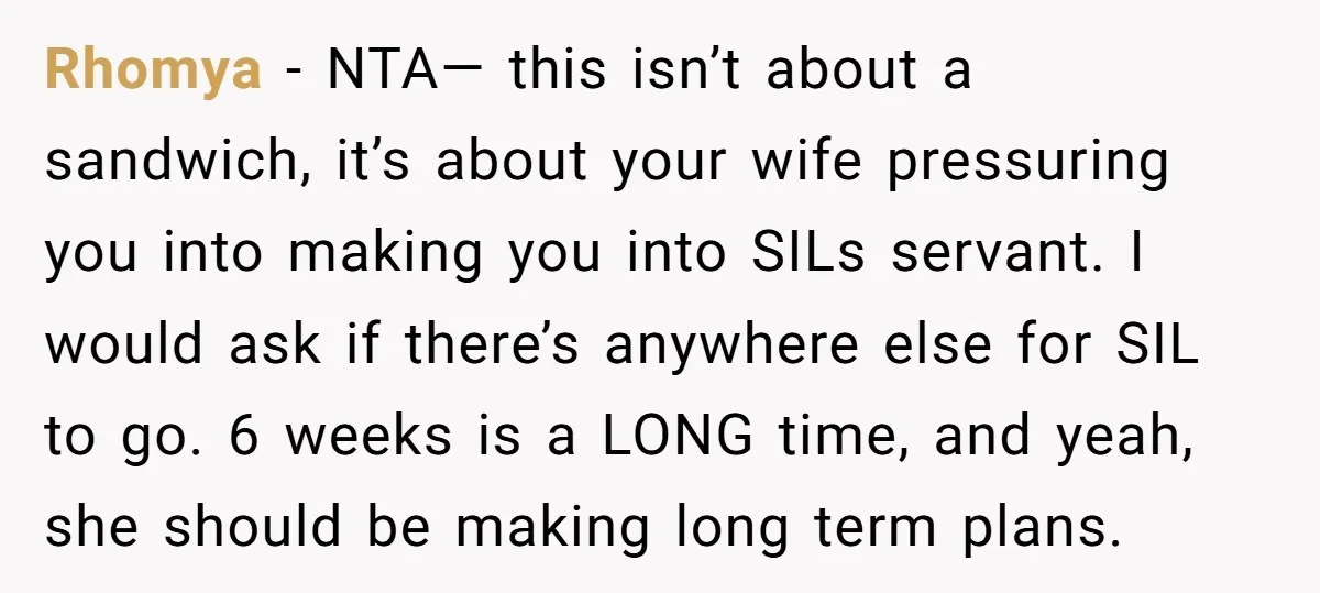 Rhomya − NTA— this isn’t about a sandwich, it’s about your wife pressuring you into making you into SILs servant. I would ask if there’s anywhere else for SIL to...