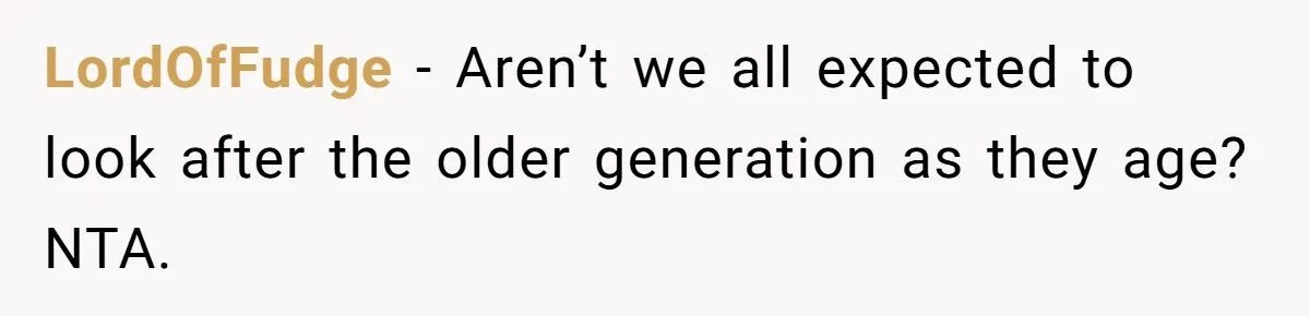 LordOfFudge − Aren’t we all expected to look after the older generation as they age? NTA.
