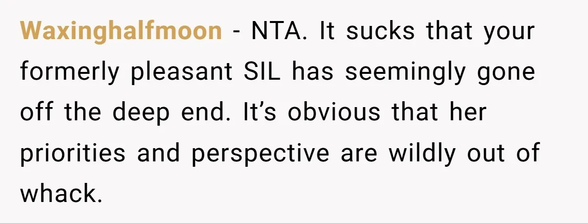 Waxinghalfmoon − NTA. It sucks that your formerly pleasant SIL has seemingly gone off the deep end. It’s obvious that her priorities and perspective are wildly out of whack.