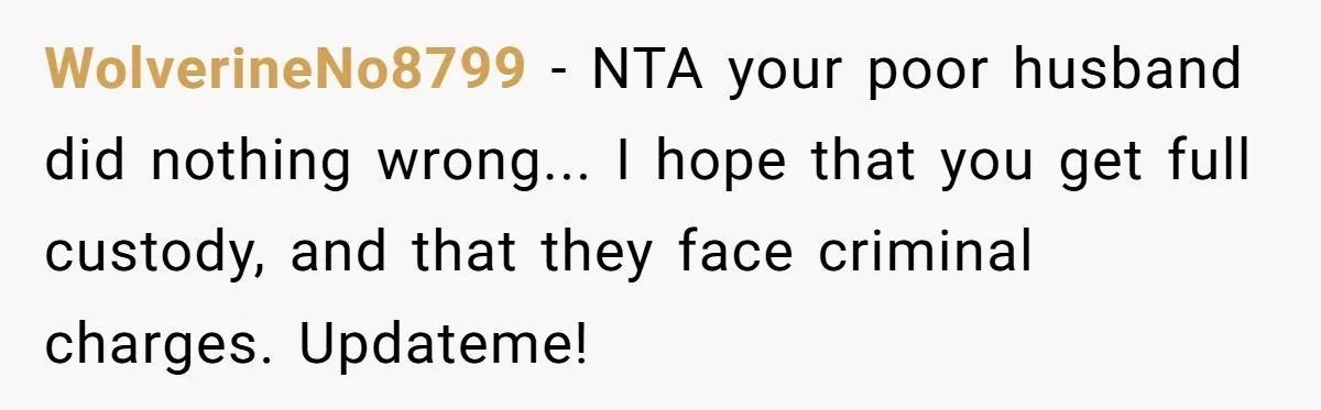 WolverineNo8799 − NTA your poor husband did nothing wrong... I hope that you get full custody, and that they face criminal charges. Updateme!