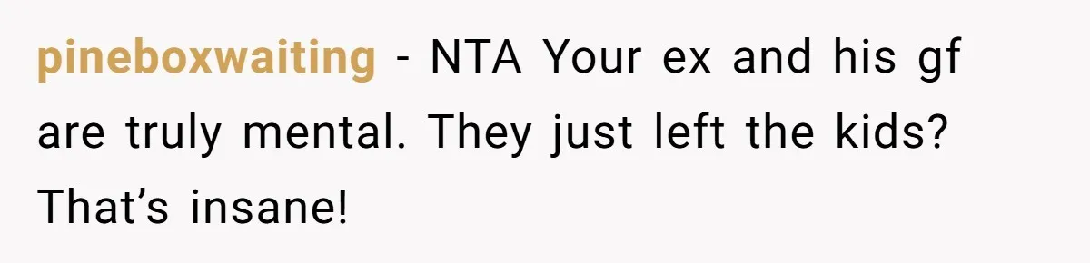 pineboxwaiting − NTA Your ex and his gf are truly mental. They just left the kids? That’s insane!