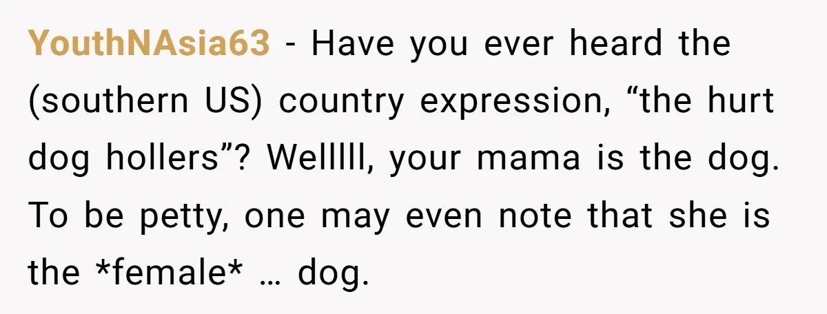 YouthNAsia63 − Have you ever heard the (southern US) country expression, “the hurt dog hollers”? Welllll, your mama is the dog. To be petty, one may even note that she...