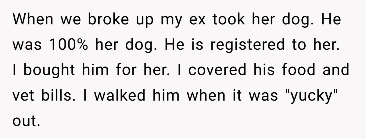 When we broke up my ex took her dog. He was 100% her dog. He is registered to her. I bought him for her. I covered his food and vet...